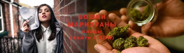 сатива Куйбышев