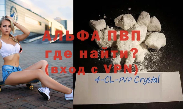 прущие грибы Ладушкин