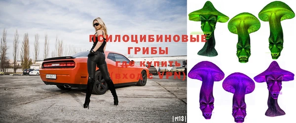 хмурый Корсаков