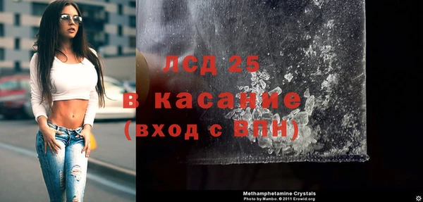 прущие грибы Ладушкин