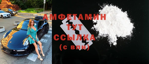 сатива Куйбышев