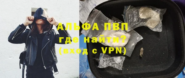 сатива Куйбышев